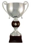 2011_players_challenge_cup